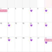 ヒメ日記 2025/11/02 15:07 投稿 新山　ナオ 白夜