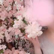 ヒメ日記 2025/11/03 12:32 投稿 新山　ナオ 白夜