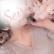 新山　ナオ バタバタの火曜日 白夜