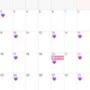 ヒメ日記 2026/03/01 16:04 投稿 新山　ナオ 白夜