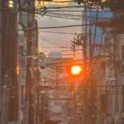 ヒメ日記 2026/08/21 10:01 投稿 新山　ナオ 白夜