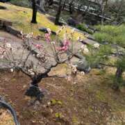 神崎　りお T様♡ありがとうございました♡ 白夜