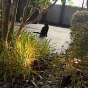 ヒメ日記 2025/11/03 19:06 投稿 まい 155