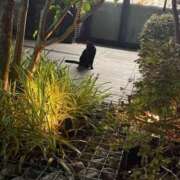 ヒメ日記 2025/11/18 23:11 投稿 まい 155