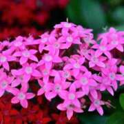 ヒメ日記 2025/11/26 18:16 投稿 まい 155