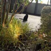 ヒメ日記 2025/12/14 21:26 投稿 まい 155