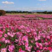 ヒメ日記 2025/12/16 21:46 投稿 まい 155