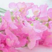 ヒメ日記 2025/12/23 18:39 投稿 まい 155