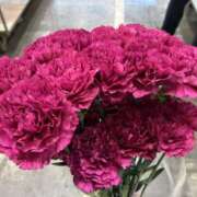 ヒメ日記 2026/01/09 00:41 投稿 まい 155