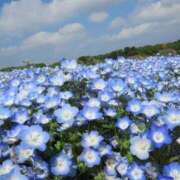 ヒメ日記 2026/01/13 22:36 投稿 まい 155