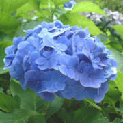 ヒメ日記 2026/02/16 22:36 投稿 まい 155