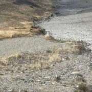 ヒメ日記 2025/02/07 02:27 投稿 ここ NEW GENERATION