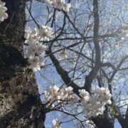 ヒメ日記 2025/04/08 15:42 投稿 ここ NEW GENERATION