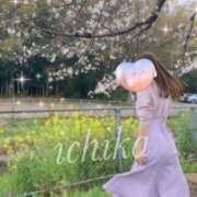 ヒメ日記 2025/03/28 16:07 投稿 葉山一花 越谷デリヘル エトワ