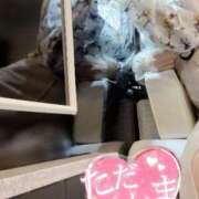 ヒメ日記 2025/09/30 03:03 投稿 葉山一花 越谷デリヘル エトワ