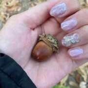 ヒメ日記 2025/11/24 12:57 投稿 葉山一花 越谷デリヘル エトワ