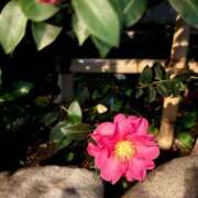 ヒメ日記 2025/12/31 12:21 投稿 守岡よる ニューハーフヘルスLIBE 東京新宿