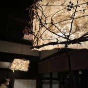 ヒメ日記 2025/11/21 09:38 投稿 リカ TSUBAKI(つばき)土浦店