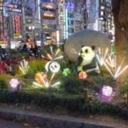 ヒメ日記 2024/12/20 22:15 投稿 しずか サンクチュアリ(上野)