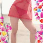 ヒメ日記 2025/01/28 22:01 投稿 しずか サンクチュアリ(上野)