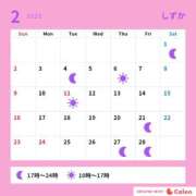 ヒメ日記 2025/02/09 08:01 投稿 しずか サンクチュアリ(上野)