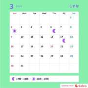 ヒメ日記 2025/02/18 19:01 投稿 しずか サンクチュアリ(上野)