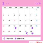 ヒメ日記 2025/02/27 12:02 投稿 しずか サンクチュアリ(上野)