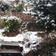 ヒメ日記 2025/03/03 16:01 投稿 しずか サンクチュアリ(上野)