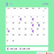 ヒメ日記 2025/03/09 08:01 投稿 しずか サンクチュアリ(上野)