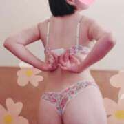 ヒメ日記 2025/03/24 08:01 投稿 しずか サンクチュアリ(上野)