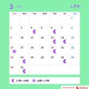 ヒメ日記 2025/03/30 08:00 投稿 しずか サンクチュアリ(上野)