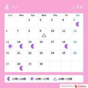 ヒメ日記 2025/04/11 12:06 投稿 しずか サンクチュアリ(上野)