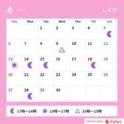 ヒメ日記 2025/04/14 08:00 投稿 しずか サンクチュアリ(上野)