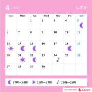 ヒメ日記 2025/04/20 18:03 投稿 しずか サンクチュアリ(上野)