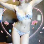 ヒメ日記 2025/04/28 12:07 投稿 しずか サンクチュアリ(上野)