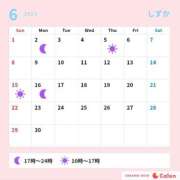 ヒメ日記 2025/05/31 08:00 投稿 しずか サンクチュアリ(上野)