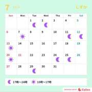 ヒメ日記 2025/07/11 19:01 投稿 しずか サンクチュアリ(上野)