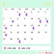 ヒメ日記 2025/07/19 10:03 投稿 しずか サンクチュアリ(上野)