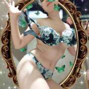 ヒメ日記 2025/07/20 08:02 投稿 しずか サンクチュアリ(上野)