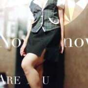 ヒメ日記 2025/11/01 12:00 投稿 しずか サンクチュアリ(上野)