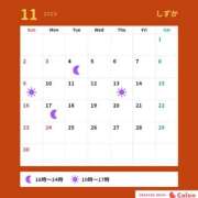 ヒメ日記 2025/11/02 08:00 投稿 しずか サンクチュアリ(上野)