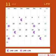 ヒメ日記 2025/11/11 12:04 投稿 しずか サンクチュアリ(上野)