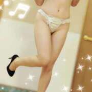 ヒメ日記 2025/11/24 08:00 投稿 しずか サンクチュアリ(上野)