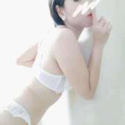 ヒメ日記 2026/02/11 08:00 投稿 しずか サンクチュアリ(上野)