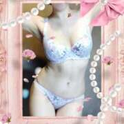 ヒメ日記 2026/03/24 12:01 投稿 しずか サンクチュアリ(上野)