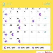 ヒメ日記 2026/03/25 08:00 投稿 しずか サンクチュアリ(上野)