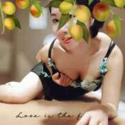 ヒメ日記 2026/04/07 16:02 投稿 しずか サンクチュアリ(上野)