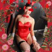 ヒメ日記 2026/04/21 12:06 投稿 しずか サンクチュアリ(上野)