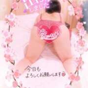 ヒメ日記 2025/03/25 12:01 投稿 いよ 奥様の実話 梅田店