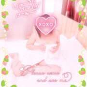 ヒメ日記 2025/04/04 10:02 投稿 いよ 奥様の実話 梅田店